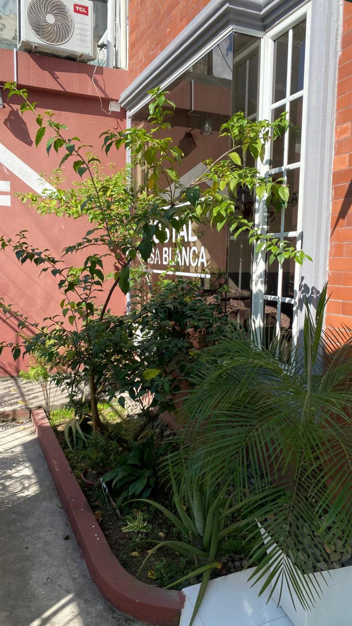 Hostal Casa Blanca Puerto Francisco de Orellana Exterior photo